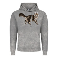 Cloud Rock Maine Coon Cat Vintage Hoodie - LillyAllenDesigns