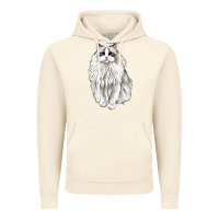 Vintage Artic Ragdoll Cat Vintage Hoodie - LillyAllenDesigns