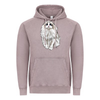 Vintage Zinc Ragdoll Cat Vintage Hoodie - LillyAllenDesigns