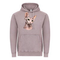 Vintage Zinc Sphynx Cat Vintage Hoodie - LillyAllenDesigns