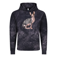 Cloud Black Sphynx Cat Vintage Hoodie - LillyAllenDesigns