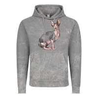 Cloud Rock Sphynx Cat Vintage Hoodie - LillyAllenDesigns