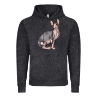 Sphynx Cat Vintage Hoodie | Teevron