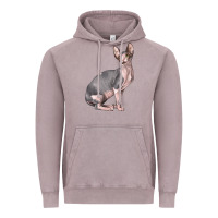 Vintage Zinc Sphynx Cat Vintage Hoodie - LillyAllenDesigns