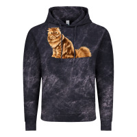 Cloud Black Persian Cat Vintage Hoodie - LillyAllenDesigns