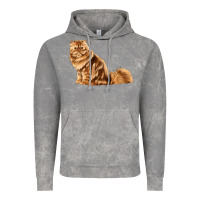 Cloud Rock Persian Cat Vintage Hoodie - LillyAllenDesigns