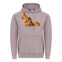 Vintage Zinc Persian Cat Vintage Hoodie - LillyAllenDesigns