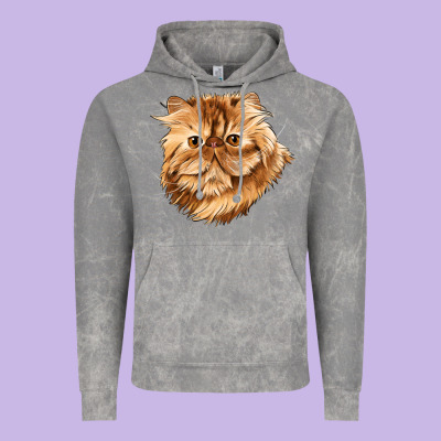 Persian Cat Face Vintage Hoodie Designed By Lillyallendesigns