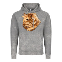 Cloud Rock Persian Cat Face Vintage Hoodie - LillyAllenDesigns