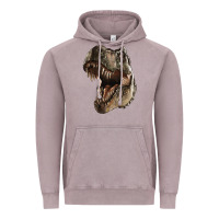 Vintage Zinc Tyrannosaurus T Rex Face Vintage Hoodie - LillyAllenDesigns