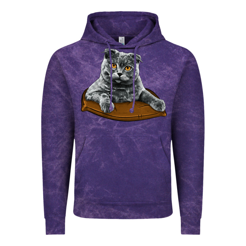 Scottish Fold Vintage Hoodie by LillyAllenDesigns | Teevron