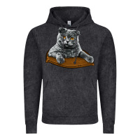 Vintage Black Scottish Fold Vintage Hoodie - LillyAllenDesigns