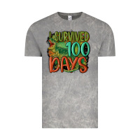 Cloud Rock i survived 100 days Vintage Tee - MaliasSmallBusiness
