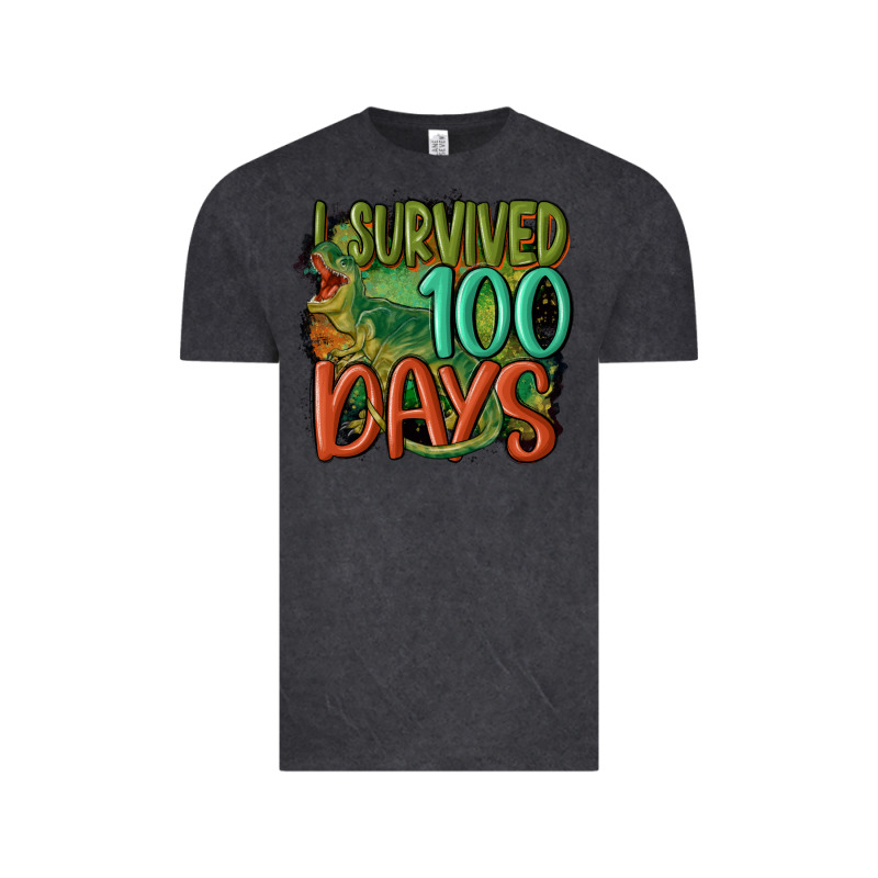 I Survived 100 Days Vintage Tee by MaliasSmallBusiness | Teevron