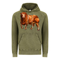Vintage Olive red angus bull Vintage Hoodie - LillyAllenDesigns