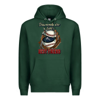 Sports Green Diamonds are a girl's best friend Baseball Premium Hoodie - HowdyJamesFarm