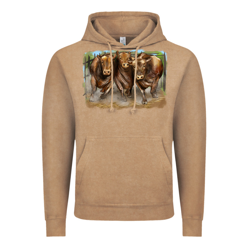 3 Red Angus Bulls Vintage Hoodie by LillyAllenDesigns | Teevron