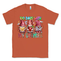 Copper 100 days with my gnomies Classic Tee - RacoonDesign