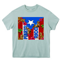 Arona puerto rico coqui leopard Heavy Core Tee - AdoDesignShop
