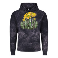 Cloud Black texas rainbow cactus Vintage Hoodie - LillyAllenDesigns