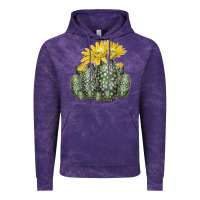 Texas Rainbow Cactus Vintage Hoodie | Teevron