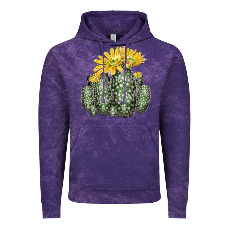 Texas Rainbow Cactus Vintage Hoodie by LillyAllenDesigns | Teevron