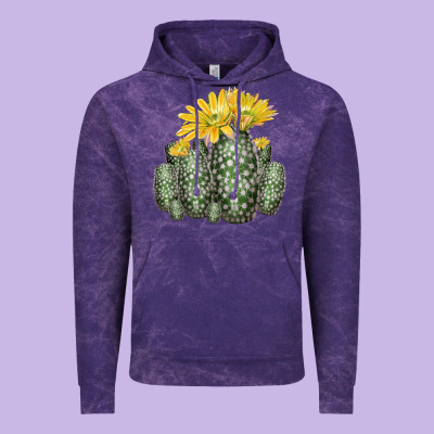 Texas Rainbow Cactus Vintage Hoodie Designed By Lillyallendesigns