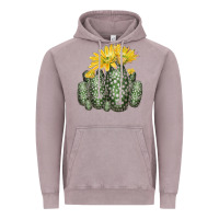 Vintage Zinc texas rainbow cactus Vintage Hoodie - LillyAllenDesigns