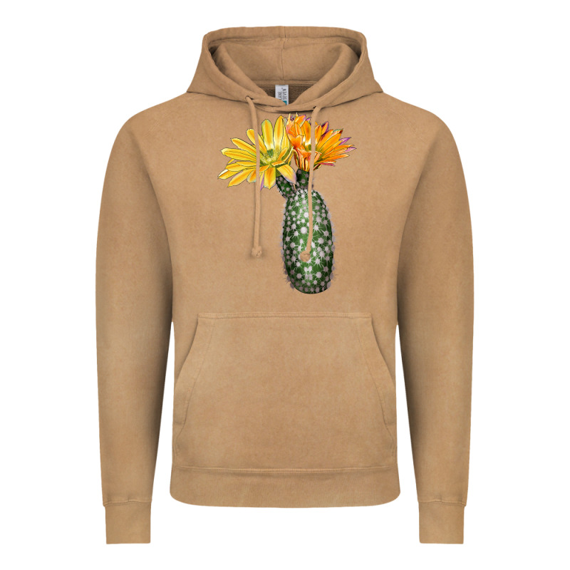 Texas Rainbow Cactus Vintage Hoodie by LillyAllenDesigns | Teevron