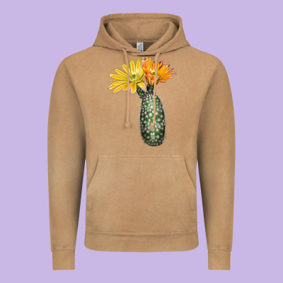 Texas Rainbow Cactus Vintage Hoodie Designed By Lillyallendesigns