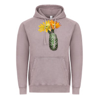 Vintage Zinc texas rainbow cactus Vintage Hoodie - LillyAllenDesigns