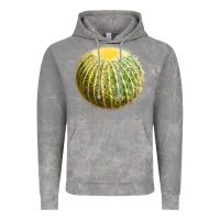 Cloud Rock golden barrel cactus Vintage Hoodie - LillyAllenDesigns