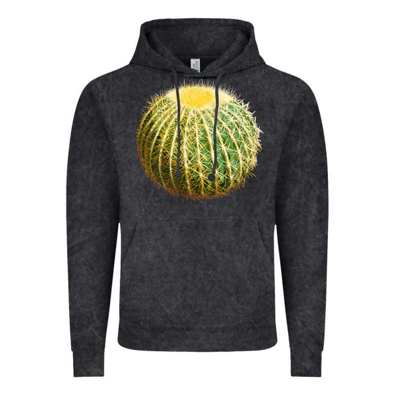 Golden Barrel Cactus Vintage Hoodie by LillyAllenDesigns | Teevron