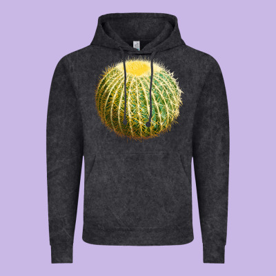 Golden Barrel Cactus Vintage Hoodie Designed By Lillyallendesigns
