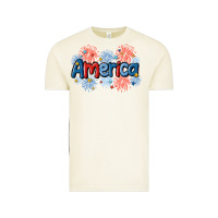 Vintage Arctic America Vintage Tee - MaliasSmallBusiness