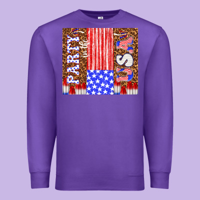 Party In The Usa Premium Sweatshirt Designed By Tumblerdesignbyshophia