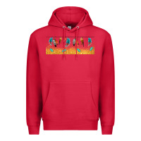 Cardinal native American feathers Premium Hoodie - TumblerDesignByShophia