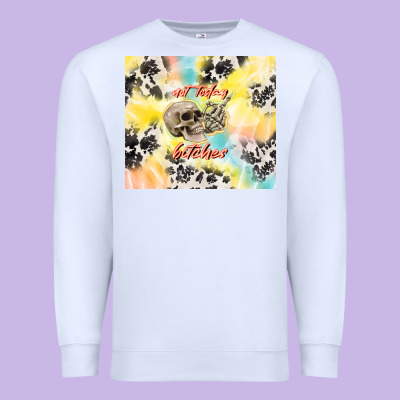 Not Today Bitches Premium Sweatshirt Designed By Tumblerdesignbyshophia