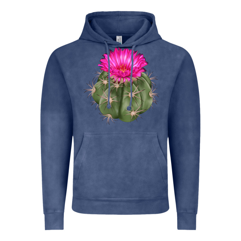 Eagle Claws Cactus Vintage Hoodie by LillyAllenDesigns | Teevron