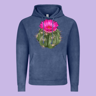 Eagle Claws Cactus Vintage Hoodie Designed By Lillyallendesigns