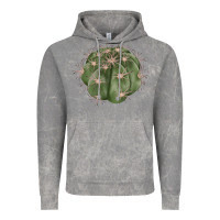 Cloud Rock eagle claws cactus Vintage Hoodie - LillyAllenDesigns
