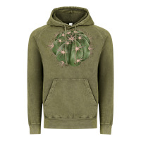 Vintage Olive eagle claws cactus Vintage Hoodie - LillyAllenDesigns