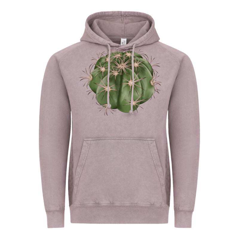 Eagle Claws Cactus Vintage Hoodie by LillyAllenDesigns | Teevron