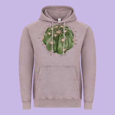 Eagle Claws Cactus Vintage Hoodie Designed By Lillyallendesigns