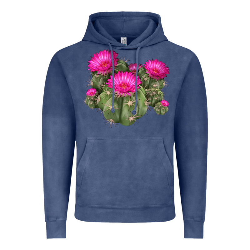 Eagle Claws Cacti Vintage Hoodie by LillyAllenDesigns | Teevron