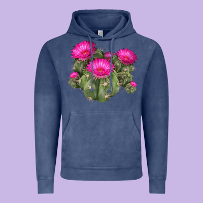 Eagle Claws Cacti Vintage Hoodie Designed By Lillyallendesigns
