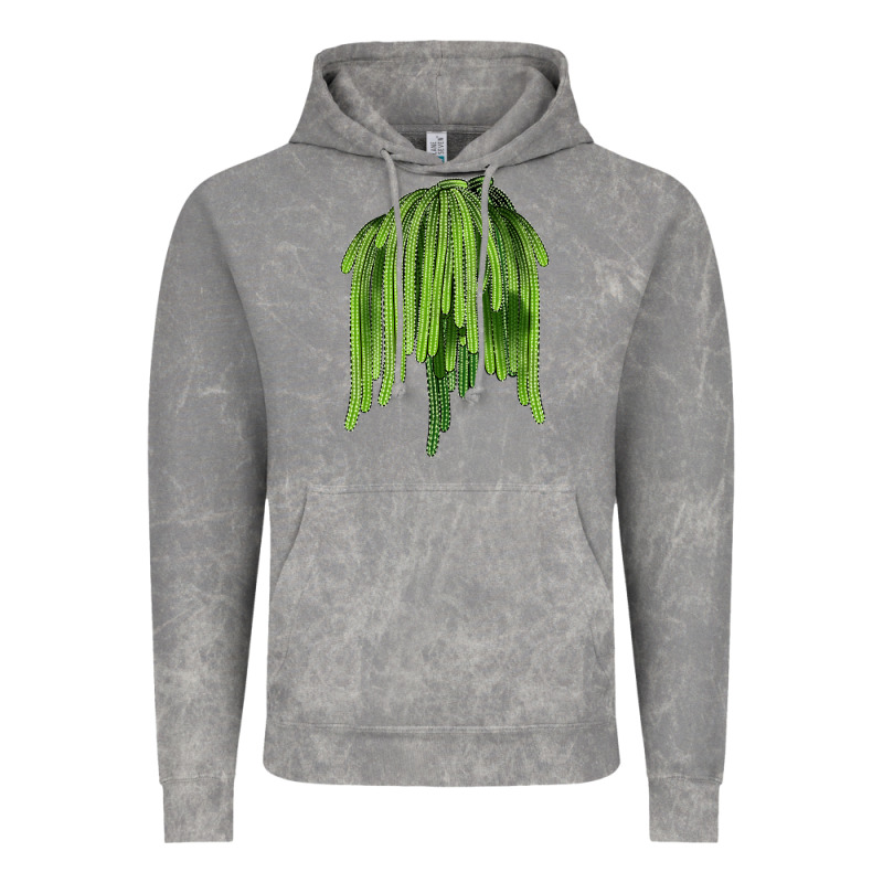 Selenicereus Cactus Vintage Hoodie by LillyAllenDesigns | Teevron