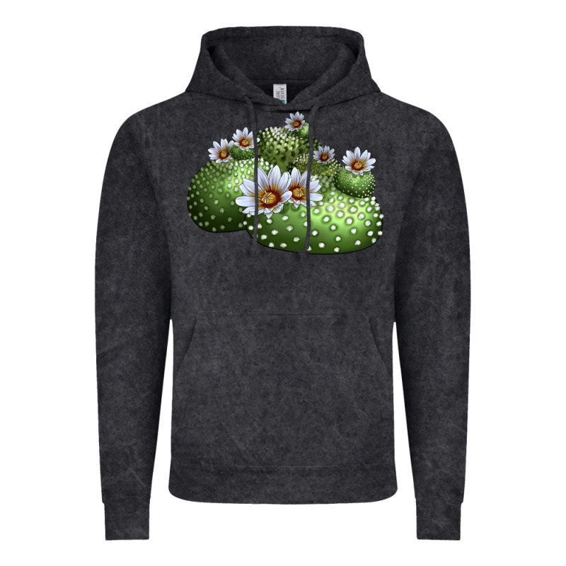 Blossfeldia Cactus Vintage Hoodie by LillyAllenDesigns | Teevron