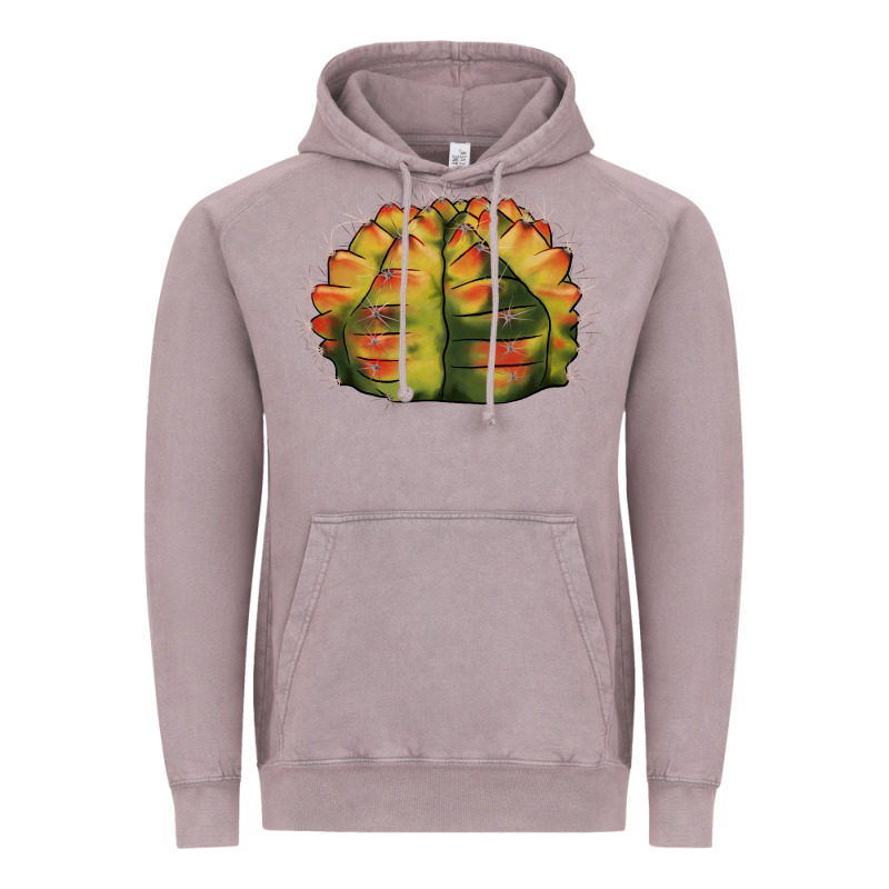 Gymnocalycium Variegated Cactus Vintage Hoodie by LillyAllenDesigns | Teevron