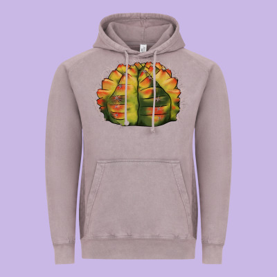 Gymnocalycium Variegated Cactus Vintage Hoodie Designed By Lillyallendesigns
